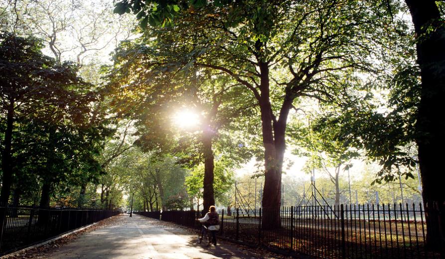 A path bordered by trees and a fence stretching into the distance. A path bordered by trees and a fence stretching into the distance.
