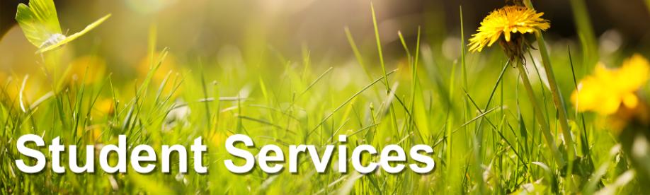 Image of snow falling upon which are the words Student Services. Image of snow falling upon which are the words Student Services.